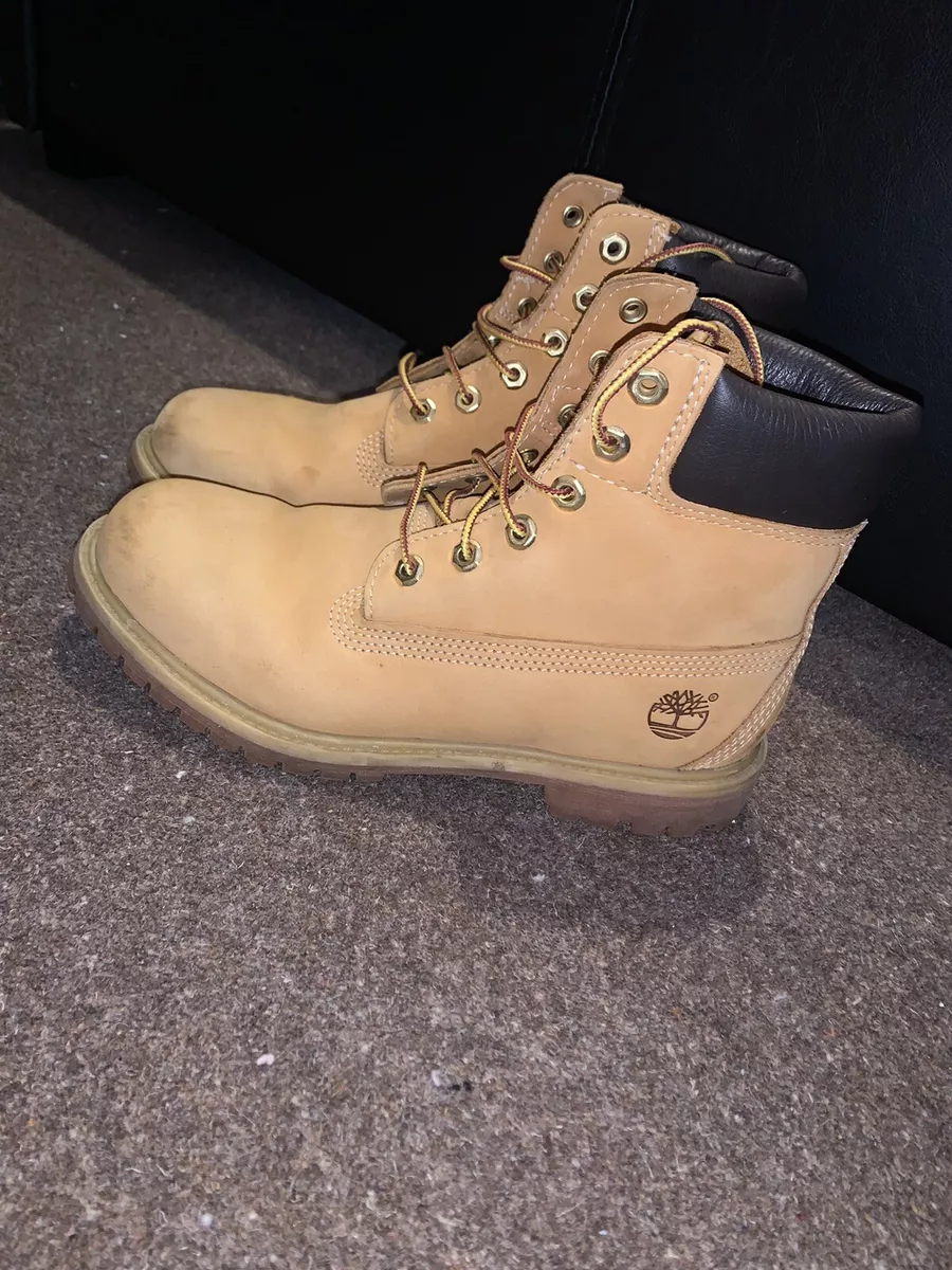 Timbs tan sales