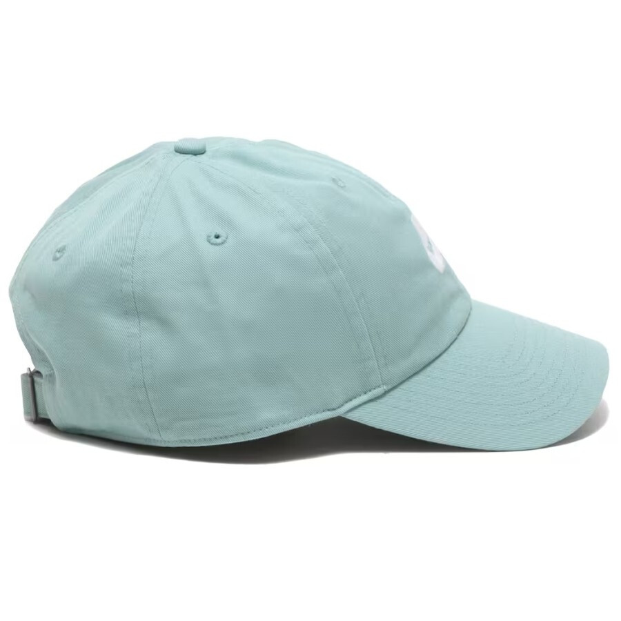 【新品】Nike × フロリダ州立大学 セミノールズ Pro Cap M/L _12.JPG?set_id=880000500F