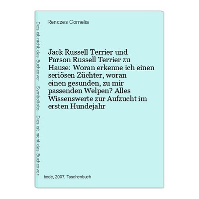 Jack Russell Terrier und Parson Russell Terrier zu Hause: Woran erkenne ich eine