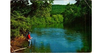 Fishing Angler River Chrome Postcard 1950s Scenic Art Natural Color Berkeley CA