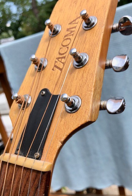 ギター TACOMA DR8C Tacoma DM8C Roadking Acoustic Guitar USA Made | eBay