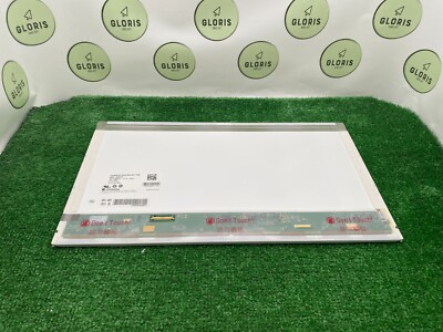 Used LG Display 17.3'' HD+ LP173WD1(TL)(B2) 40 pin Matte Screen Display 084FGP