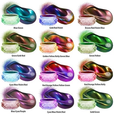 Intense Chameleon Mica Powder Set - 12 Colors