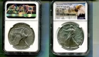 2023 W AMERICAN SILVER EAGLE 1 OUNCE .999 FINE BURNISHED COIN NGC MS70 8150T