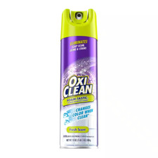 19 Oz. Spray Can Foam-Tastic Foaming Bathroom Cleaner, Fresh Scent