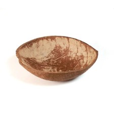 Natural Coconut Shell Halves (Case of 200 / $1.25 each)