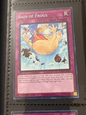 Rain of Frogs