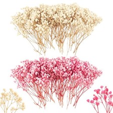 100 St&uuml;ck getrocknete Gypsophila Blumen, Blumen f&uuml;r eine Gr&ouml;&szlig;e, rosa und gelb