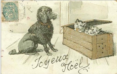 Chats N 407 Joyeux Noel Chien Poodle Observing Of Kittens Pick And Frightened Ebay Chats N 407 Joyeux Noel Chien Poodle Observing Of Kittens Pick And Frightened Ebay