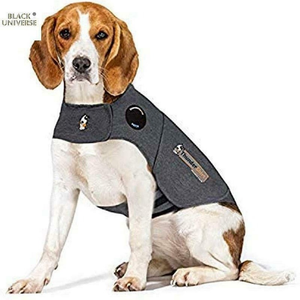 ebay thundershirt