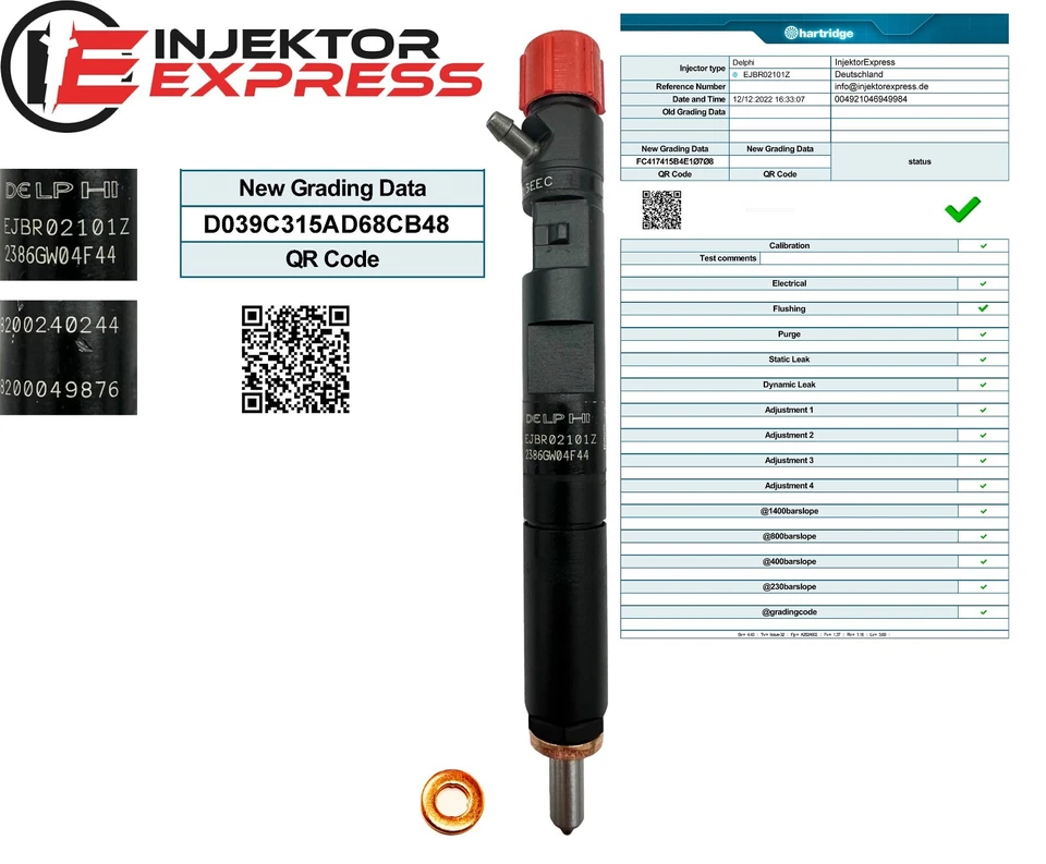EJBR02101Z Delphi Injektor Dacia Renault Clio Kangoo Logan 1.5 dCi 28232242