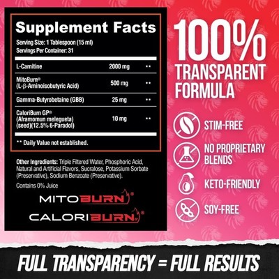 ALPHA LION Burn2O L-Carnitine Liquid 2000mg ShredBerry Fat Burner  Supplement