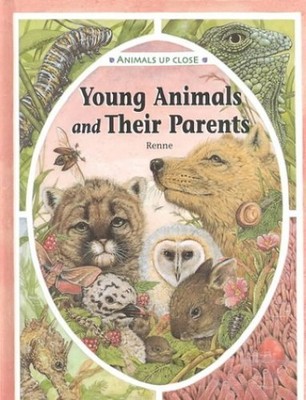 Young Animals and Their Parents (Animals Up Close) - Library Binding - VERY GOOD