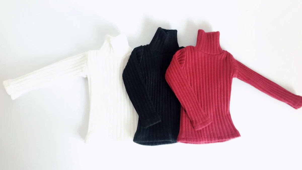 Turtleneck ph top