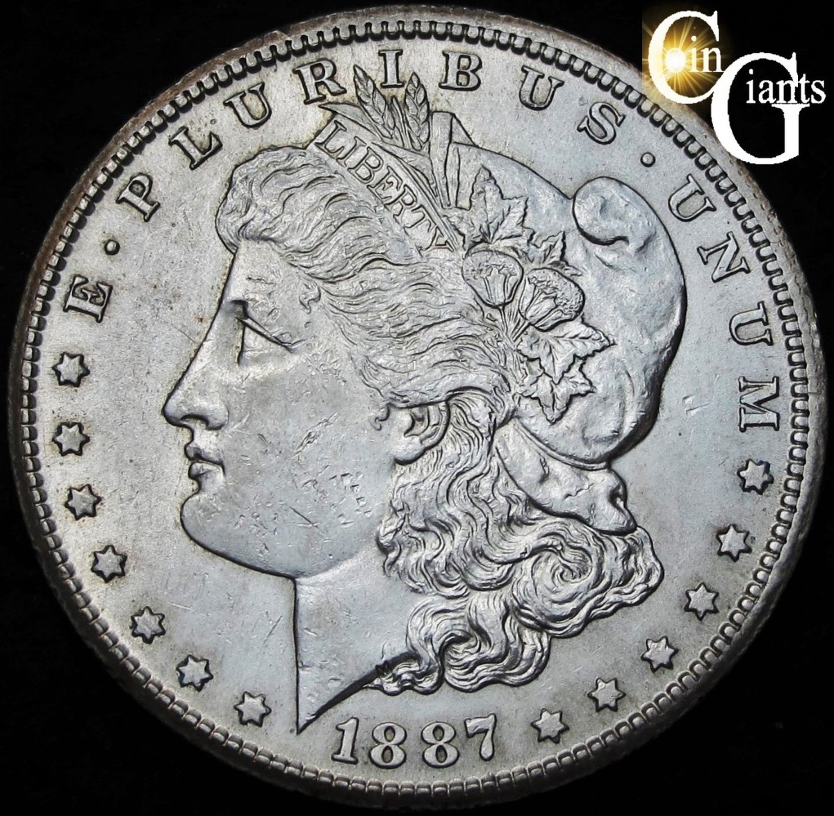 1887-S/S RPM Morgan Silver Dollar Choice Uncirculated VAM-2 Top 100 Variety RARE | eBay 1887-S/S RPM Morgan Silver Dollar Choice Uncirculated VAM-2 Top 100 Variety RARE | eBay