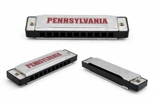 Diatonic Harmonica Silver Black Metal Chrome