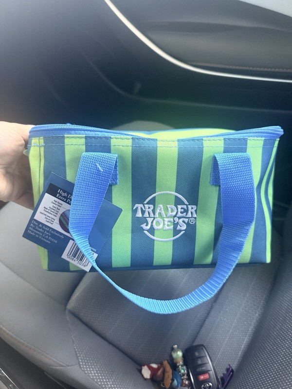 Trader Joe's Blue/Green Striped Insulated Reusable Tote Lunch Bag, 64oz