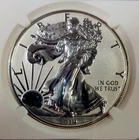 2019 S American Silver Eagle Enhanced Reverse Proof NGC PF 70 $1 Start