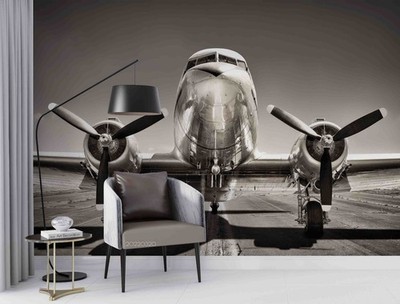 3D Fighter Plane Front View Close-up Wall Murals Wallpaper Murals Wall Sticker