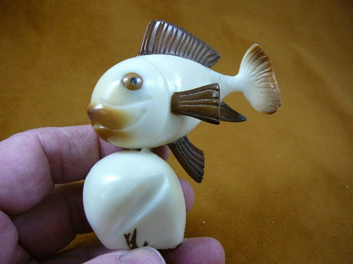 Koi vegetable top