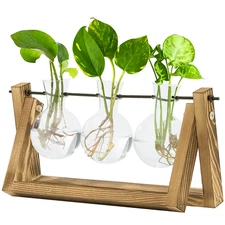 Bamworld Hydroponics Plant Propagation Station with Wooden Stand 3 Glass Vases