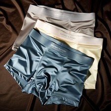 Ice Silk Mens Underwear Light Luxury Satin Boxers Briefs