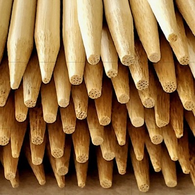 250 Pcs Candy Apple/Corn Dog Wooden Skewers/Sticks  Extra Thick 5.5''