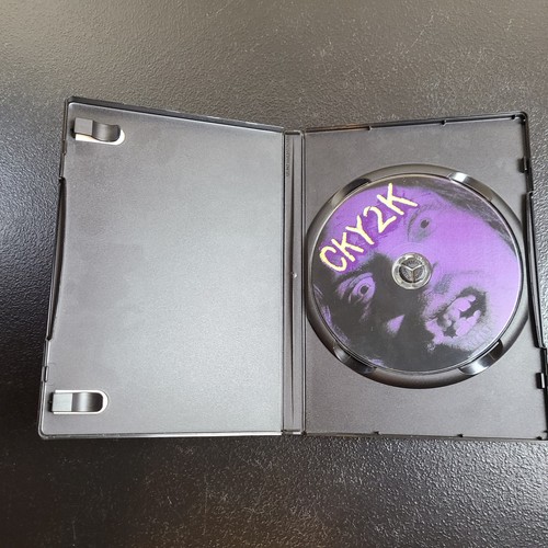 CKY 2K DVD 2000 Skateboarding Bam Margera Ryan Dunn Brandon DiCamillo Rake Yohn - Picture 9 of 10
