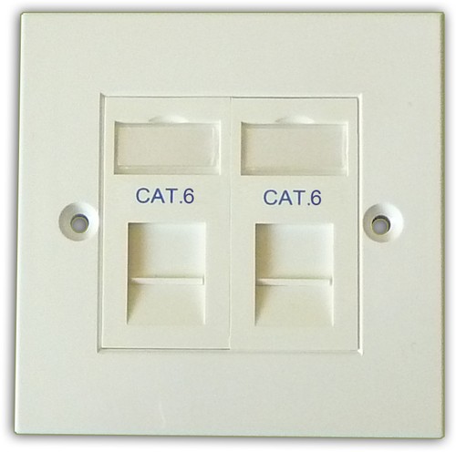 2 Way Double LAN RJ45 Data Gigabit Ethernet Network Faceplate & Cat 6 Module - 第 1/1 張圖片