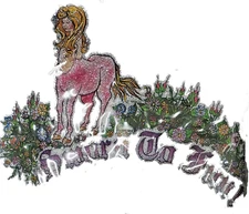 Sworn to Fun Glitter Vintage 70's T-Shirt transfer Iron on X 215