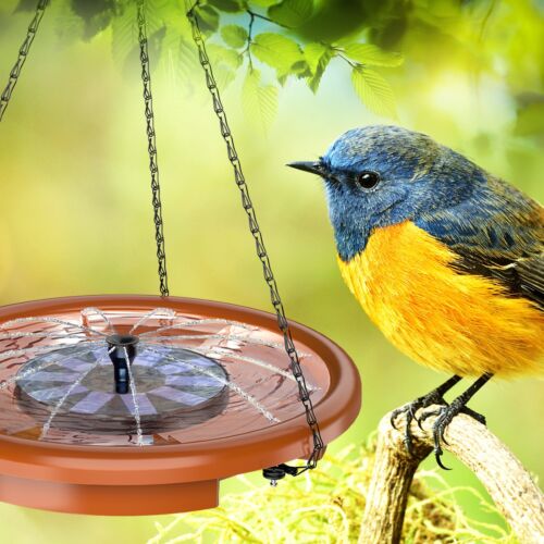 Bird Bath Bowl With Solar Water Fountains,Hummingbird Bowl Outdoor Bird Feeder