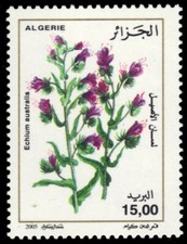 ALGERIA 1327 - Viper's Bluegloss "Echium australis" (pb67778)