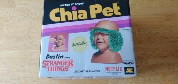 dustin chia pet