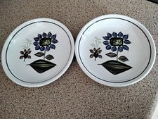 Vintage 1970s Royal Worcester Palissy Trinket Dish/ Jam Plates.A Pair.