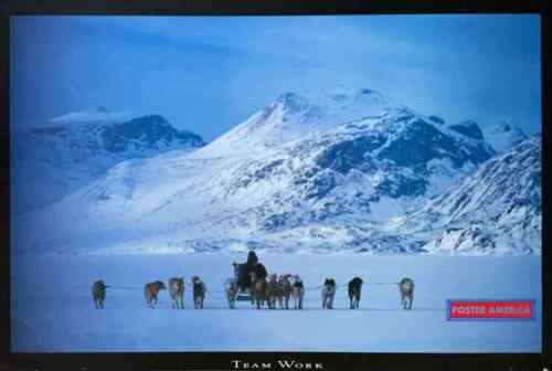 Inuit Hunter with Huskies Inspirational Team Work Poster 24 x 35 - Picture 1 of 6