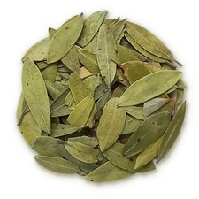 Uva Ursi Leaves by Herbs of Mexico