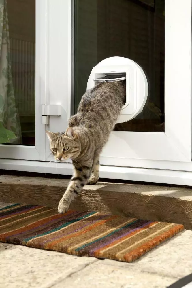Cat flaps clearance for microchipped cats