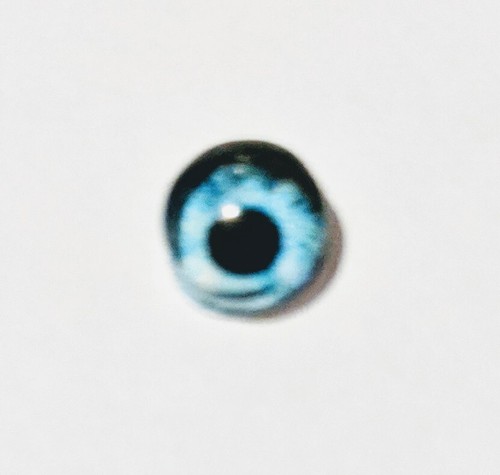 6mm glass cabachon eyes great for taxidermy, needle felting, toy making - 第 14/23 張圖片