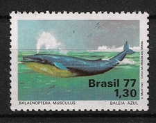 Brazil 1977 MiNr. 1597 Brasilien Whale Marine life  Blue whale 1v MNH** 6,00 €
