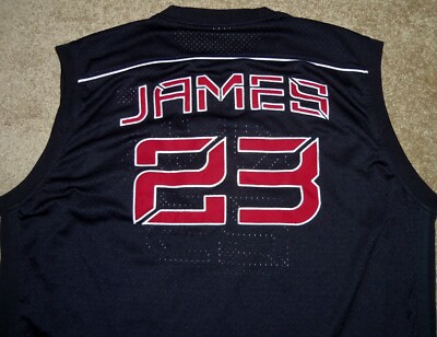 lebron king james jersey