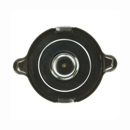 Tapa radiador moto T16 Foto 4 de 4