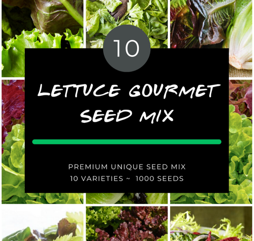 LETTUCE GOURMET SEED MIX 1000+ seeds baby leaf summer salad microgreens ...