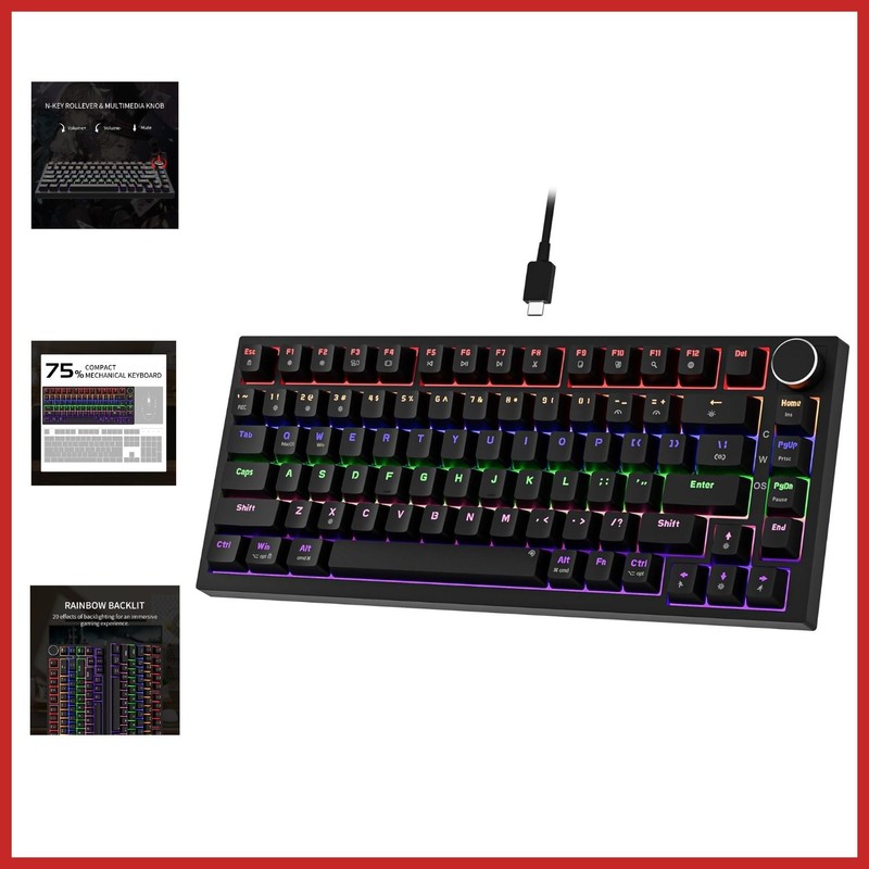 Ergonomic Wired Mechanical Keyboard TKL with RGB Backlighting for Gaming