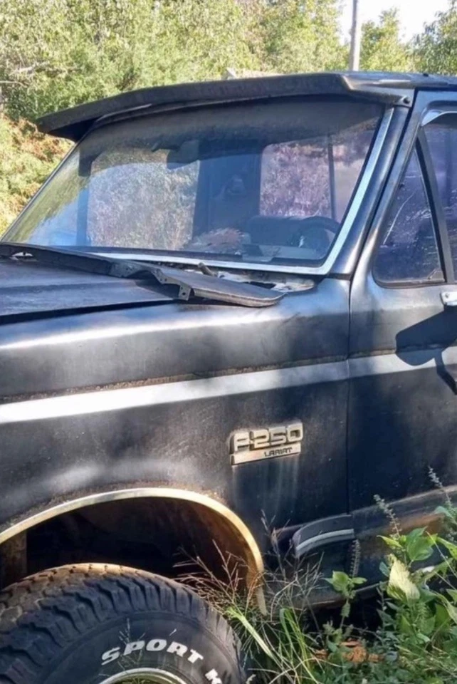 Camioneta Ford F-150 F250 F-350 1980-1996 Bronco negra cabina LUND parasol. Foto 4 de 4