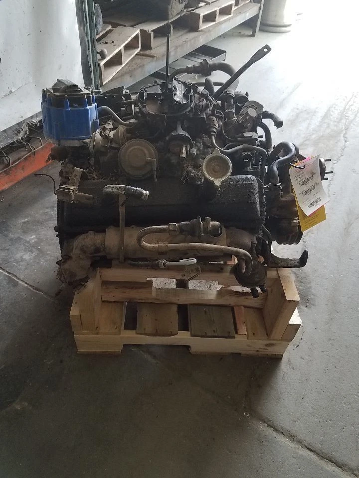 Motor 8-305 5,0 L VIN F compatible con Chevrolet 1500 1984 1221329 Foto 3 de 4