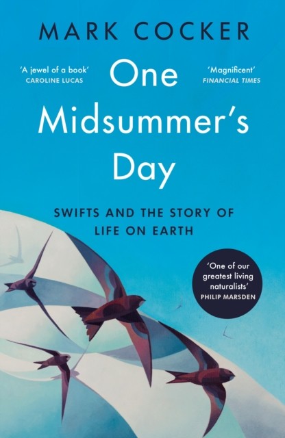 One Midsummer's Day by Mark Cocker (Paperback Book)