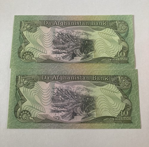 X2, Afghanistan, 10 afghani, (607)