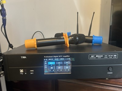 Digital Karaoke Amplifier 3 In 1 Writhe Microphone And DSP Processor