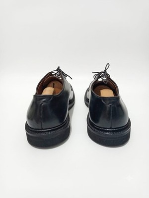 Alden 9901