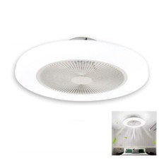 Ventilateur De Plafond Lumière LED Blanc Chaud Froid Plafonnier Lustre Smart
